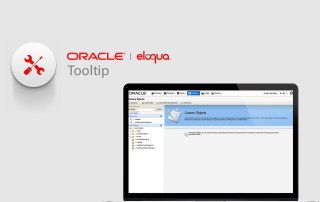 Laptop screen in Oracle Eloqua of Custom Objects