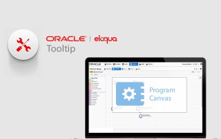 Computer-screen-Eloqua-instance-program-canvas