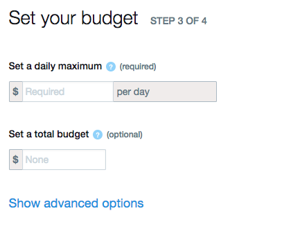 Twitter-Advertising-Set-Your-Budget-4