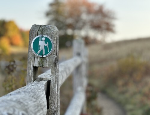 Unlocking Marketing Success with Oracle Eloqua Guided Campaigns