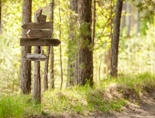 Dispelling the Myths of Marketing Automation Migrations