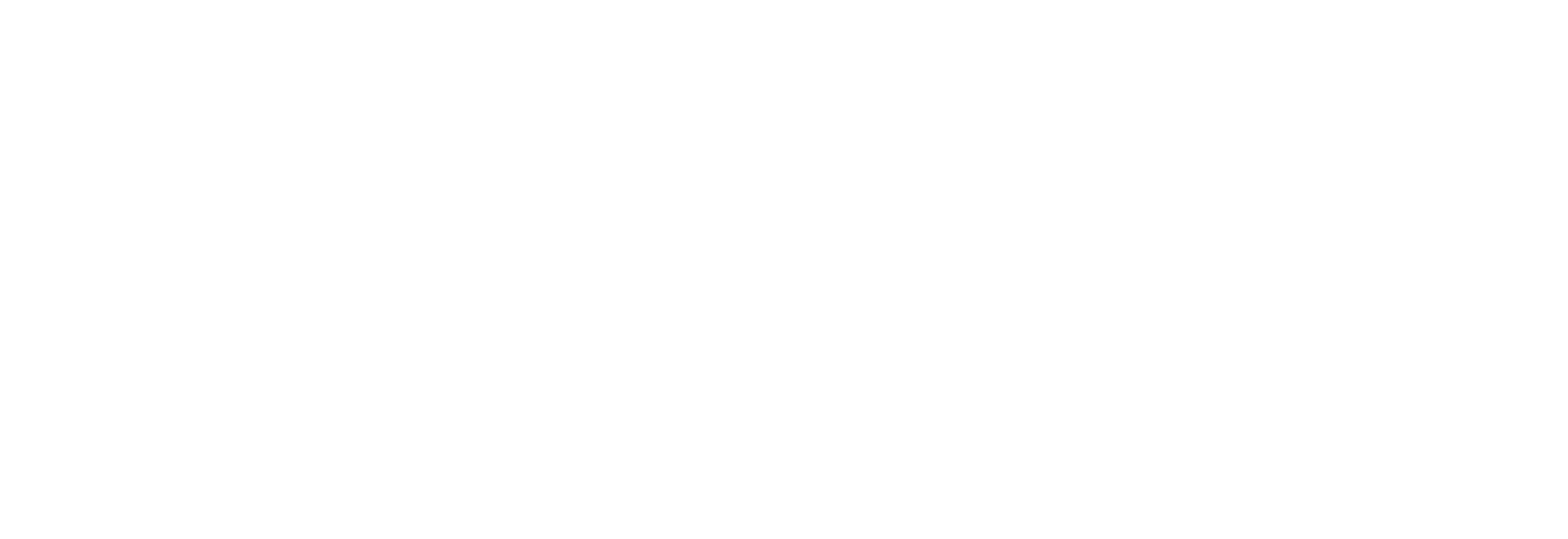 optimizely_logo_white_lrg