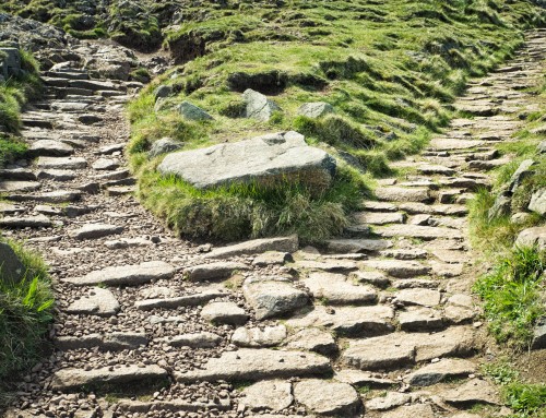 The Re-Platforming Dilemma